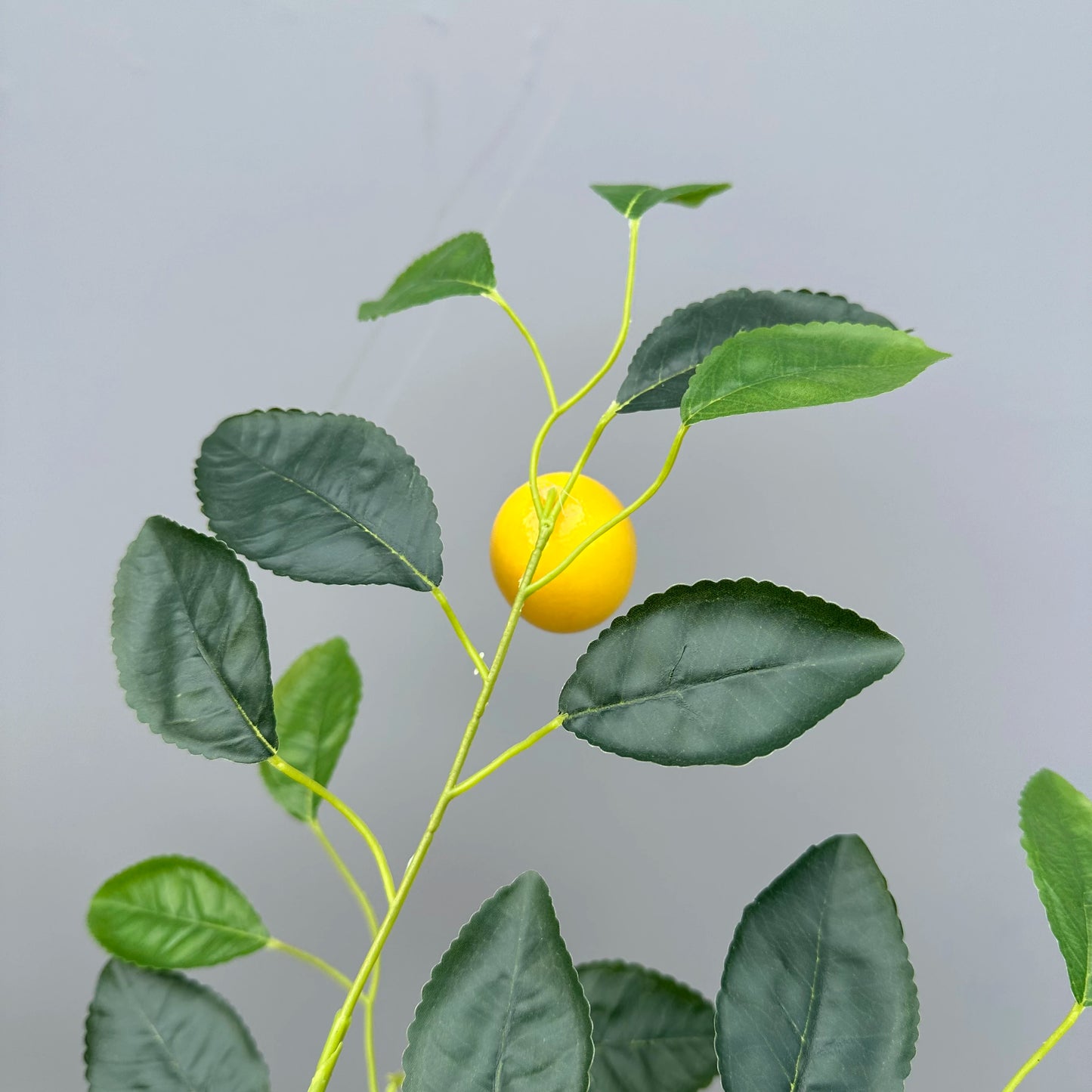 Artificial Lemon Tree Branches realistic Leaves